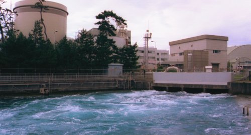 mihama1.jpg (29605 �o�C�g)